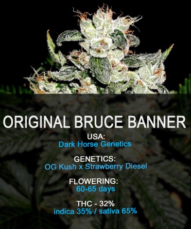 Bruce Banner (regular)