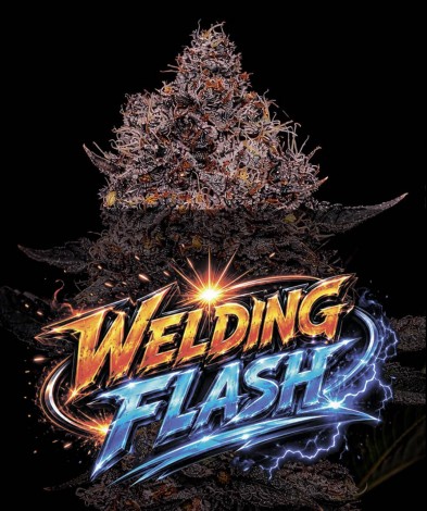 WELDING FLASH  (photo/fem)