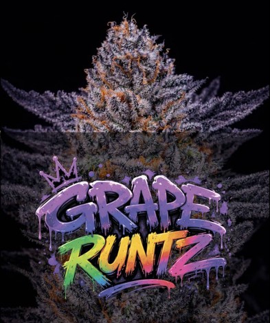 GRAPE RUNTZ (photo/fem)
