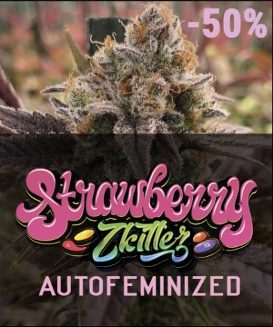 STRAWBERRY ZKITLEZ AUTO