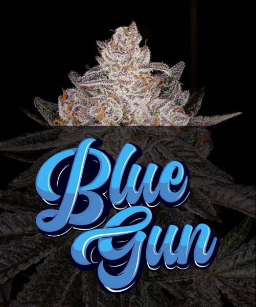 BLUE GUN FAST