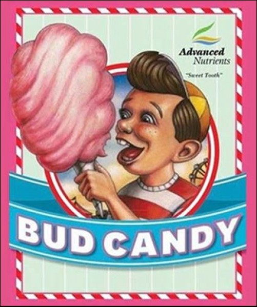 Bud Candy