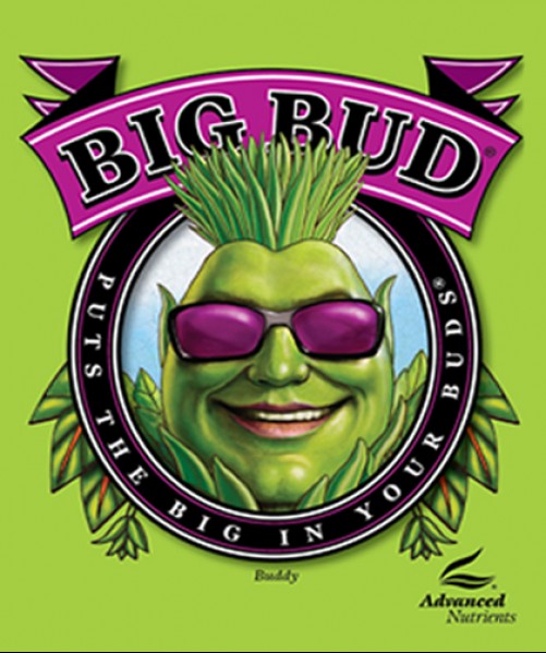 Big Bud