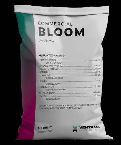 Commercial Bloom (2-26-41)