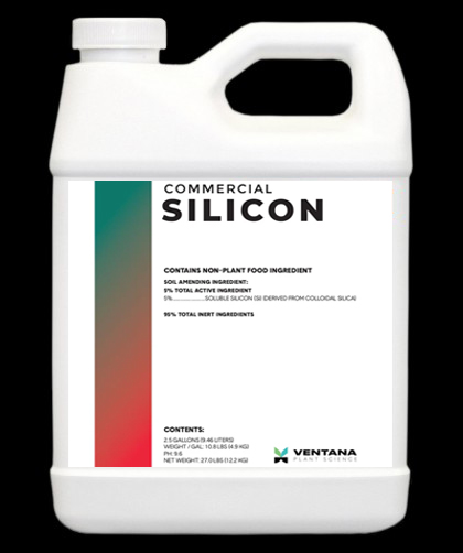 Commercial Silicon