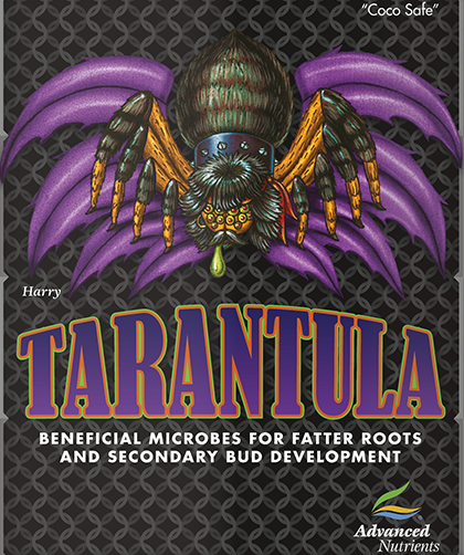 Tarantula 