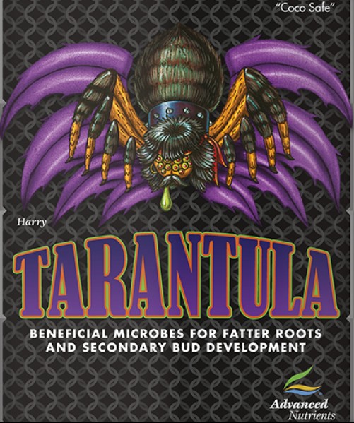 Tarantula
