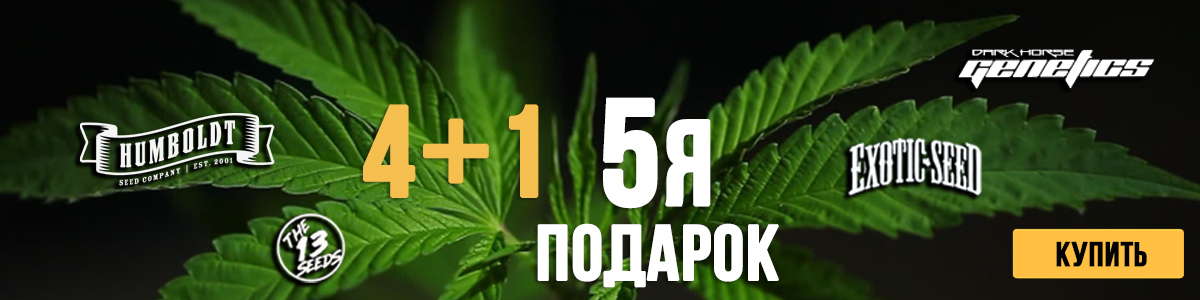 4+1