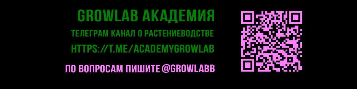 академия